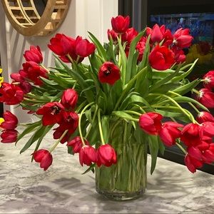 Meet your Posher, Jules